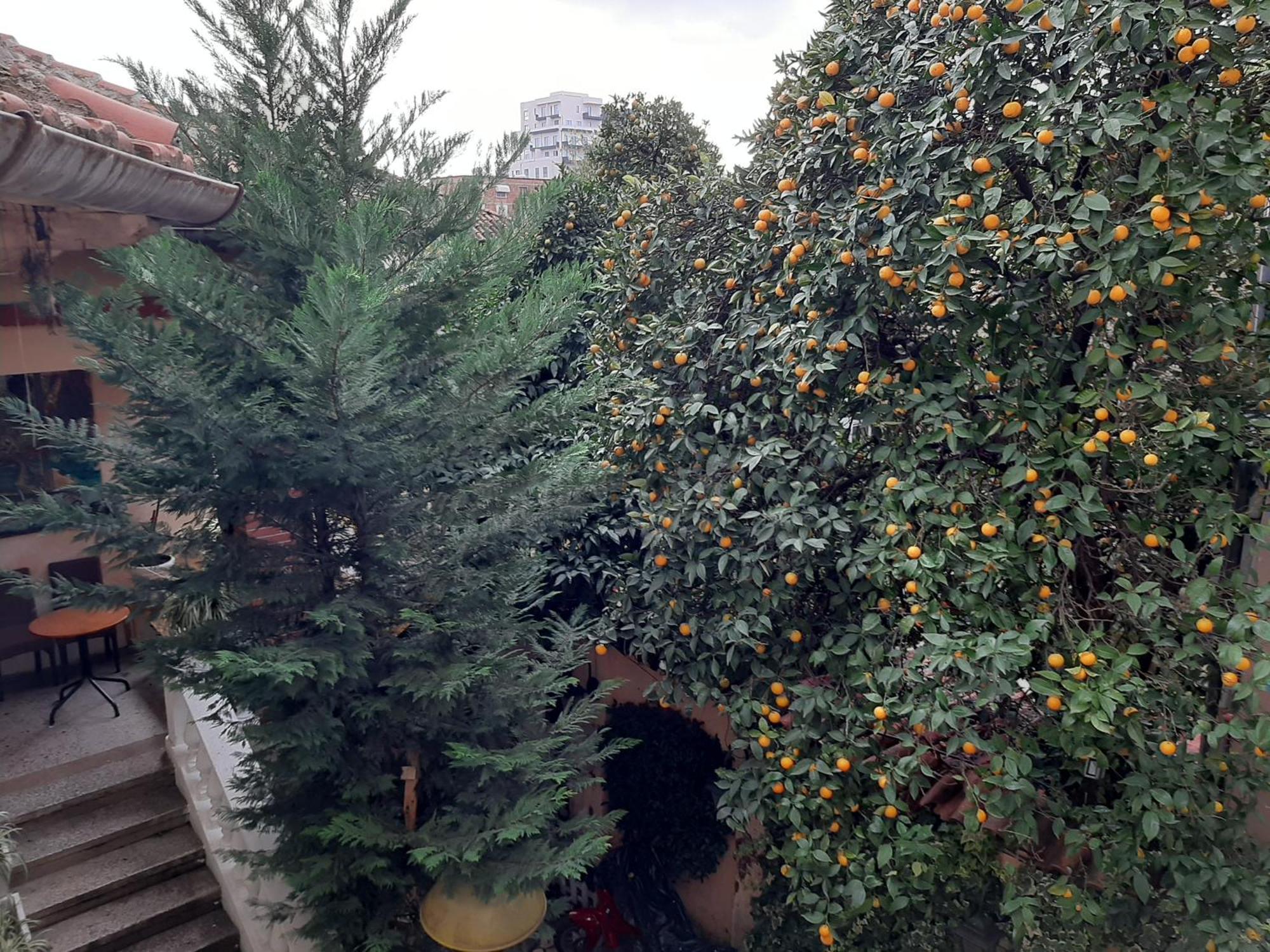 Enki'S Guesthouse Tirana Zewnętrze zdjęcie